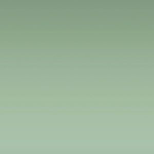 Meet your Posher, Sammy